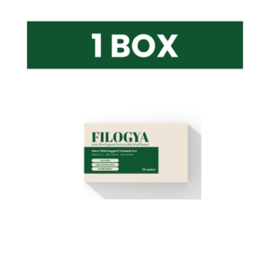 Filogya 1 Kotak