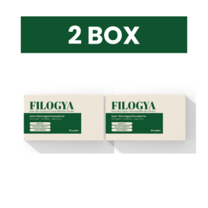 Filogya 2 Kotak